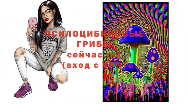 2c-b Мегион