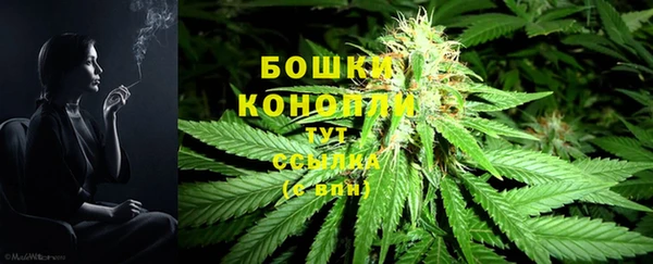 2c-b Мегион