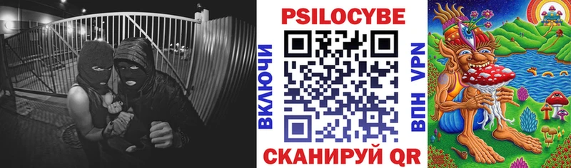 Купить где  Искитим  Псилоцибиновые грибы MAGIC MUSHROOMS 